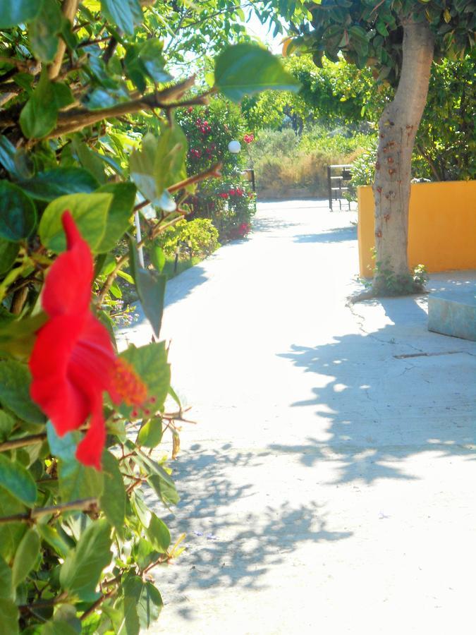 Villa Sofia Ialysos  Exterior foto
