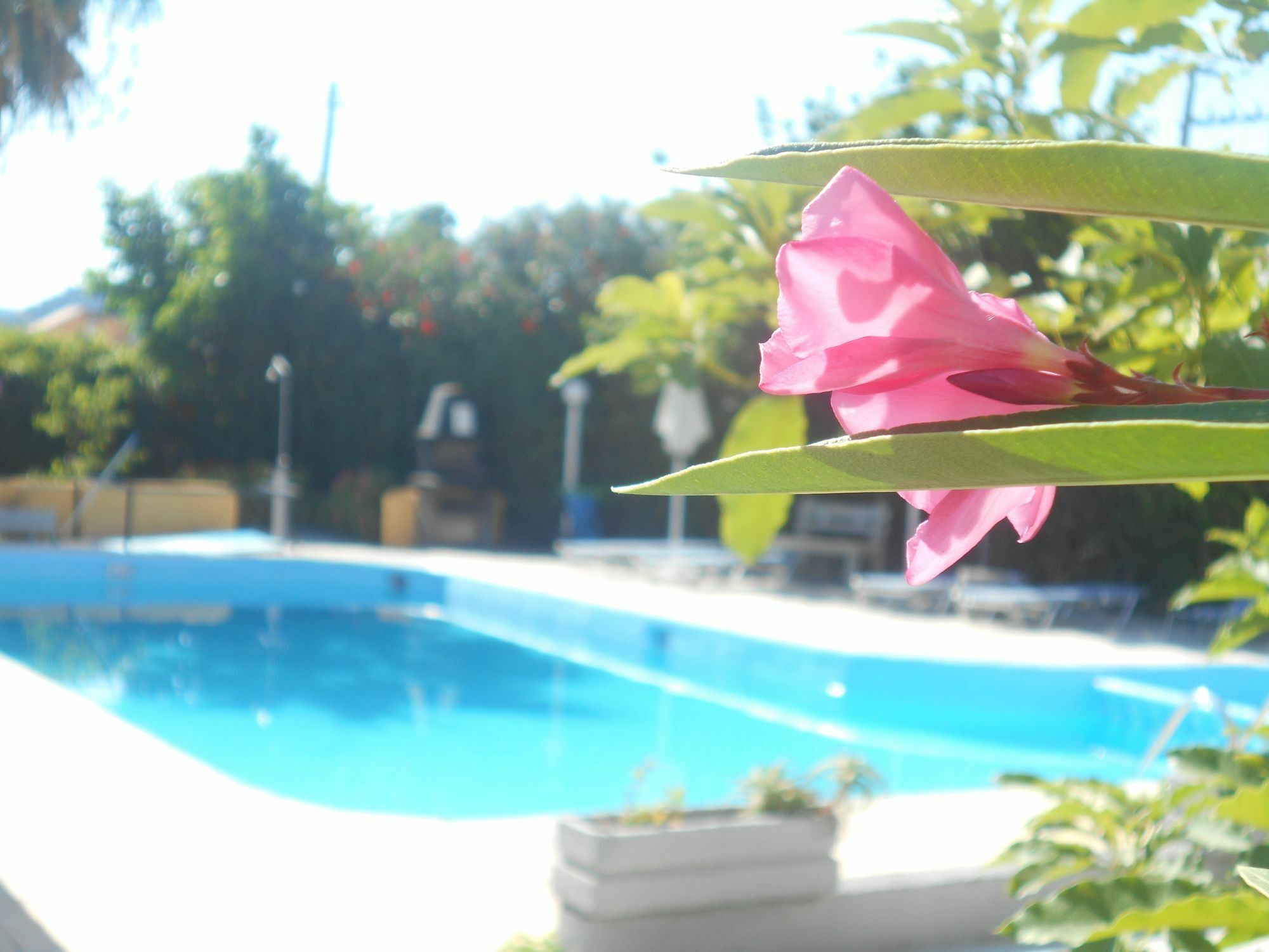 Villa Sofia Ialysos  Exterior foto