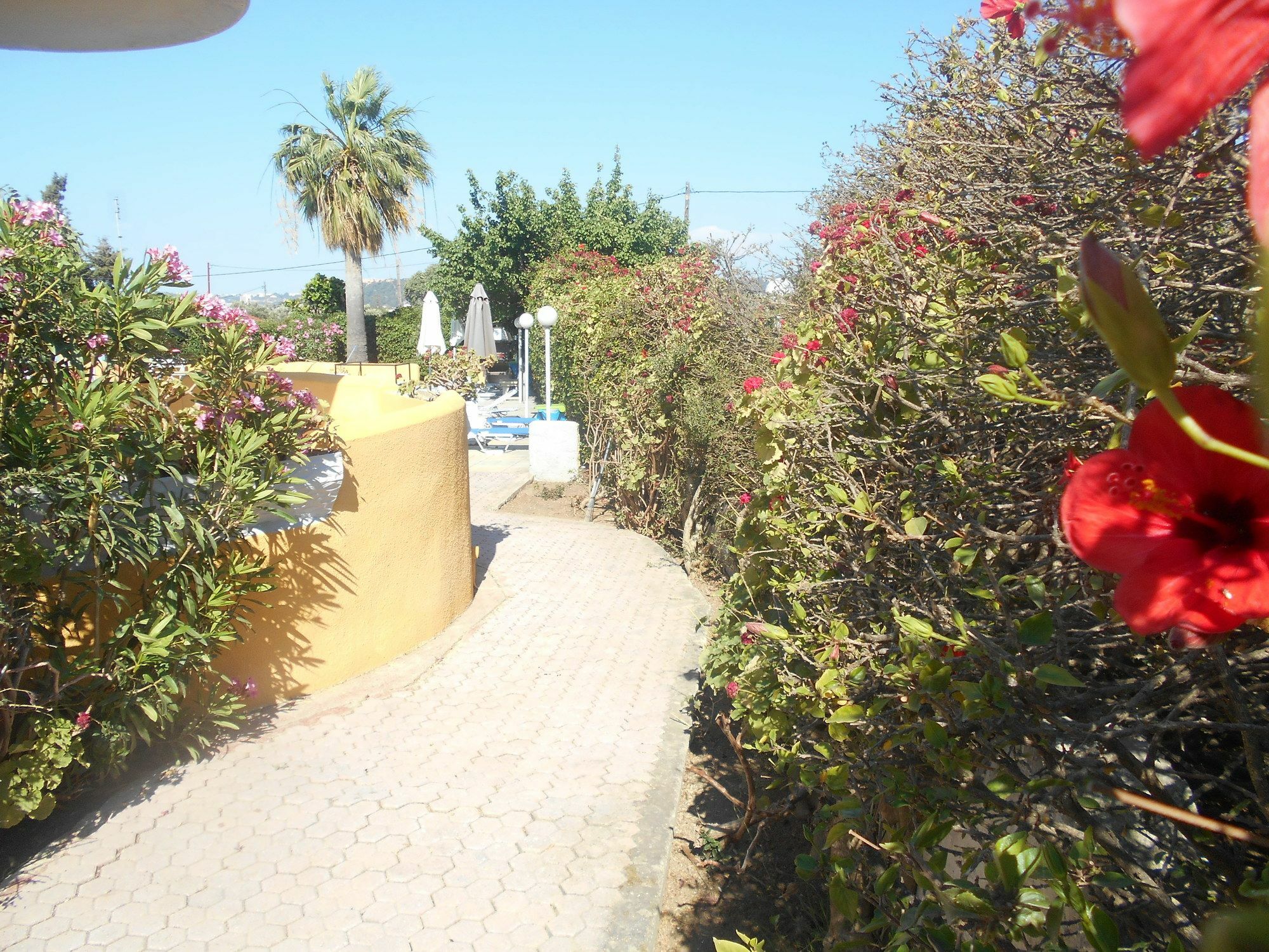 Villa Sofia Ialysos  Exterior foto